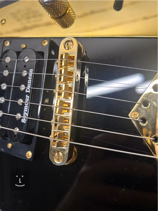 Jackson Pro RRT5 Rhoads EB BLK (déballé) - Guitare électrique