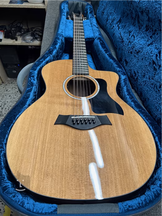 Taylor 254ce Plus (utilisé) - Guitare électroacoustique a douze cordes