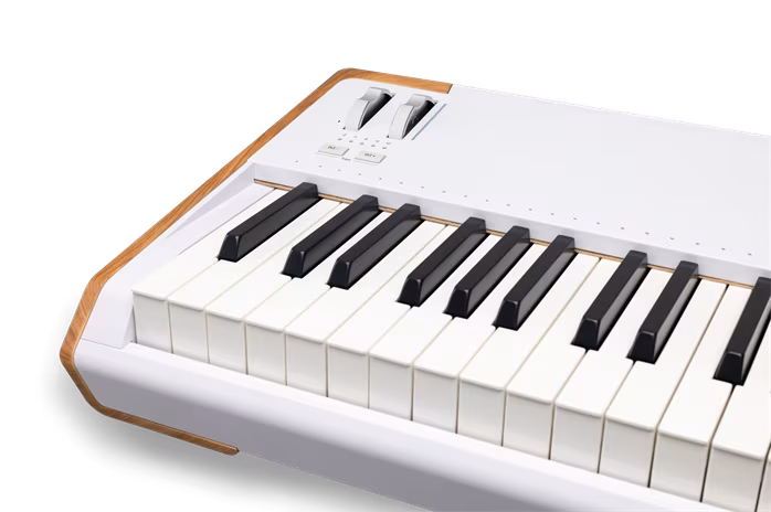 Arturia AstroLab 88 (déballé) - Piano de scene numérique portable, orgue, synthétiseur