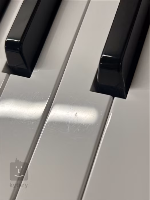 Behringer MONOPOLY (utilisé) - Synthétiseur