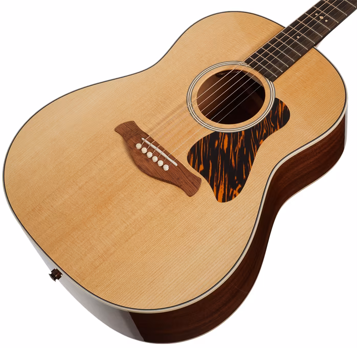 Taylor Gold Label 517e - Guitare électroacoustique