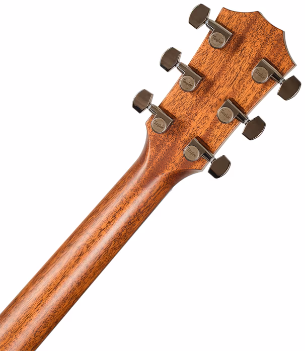 Taylor 814ce Special Edition Sitka Sapphire Top - Guitare électroacoustique