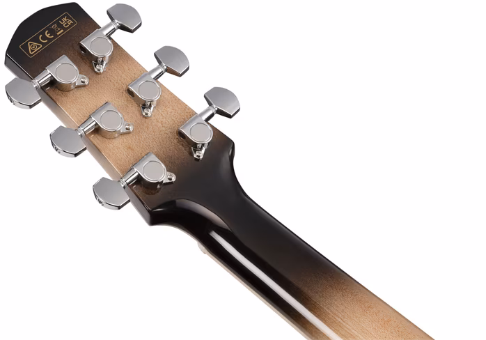 Ibanez AAM370M1CE Transparent Panda - Guitare électroacoustique