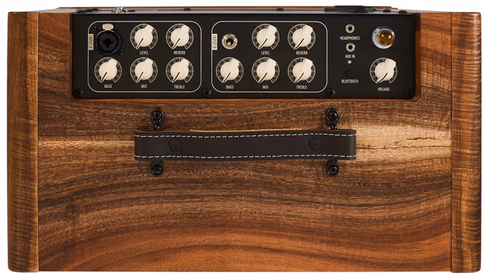 Taylor Circa 74 Koa - Combo pour instruments acoustiques