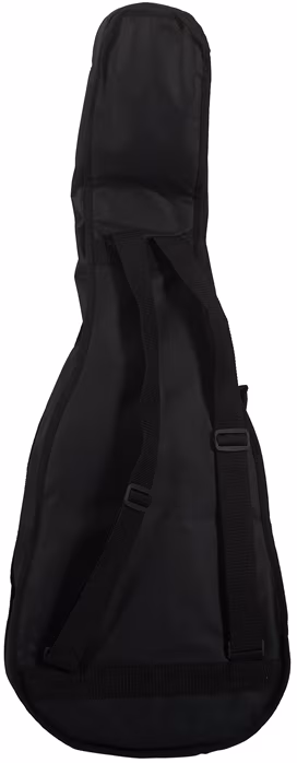 Cort Earth GO OPBB - Guitare électroacoustique