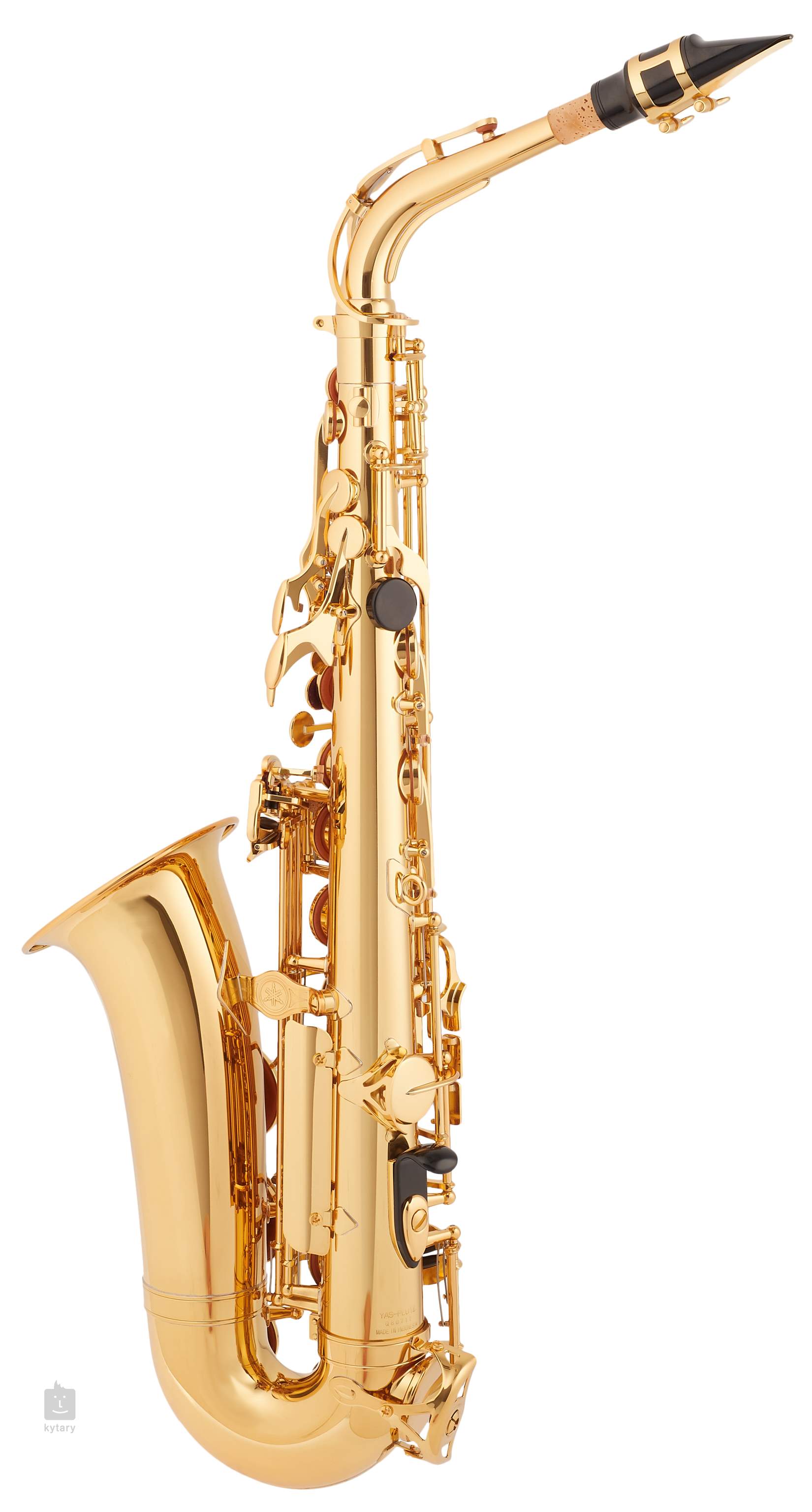 Fichier:Joueur de saxophone.jpg — Wikilivres
