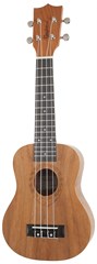 Tanglewood TWT 2