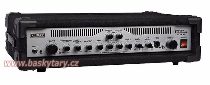 Fender Bassman 250 Head  - 