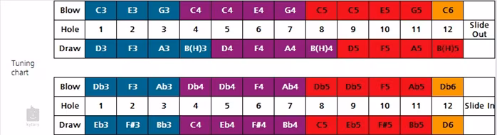 Hohner CX 12 Black C Tenor - Szájharmónikák