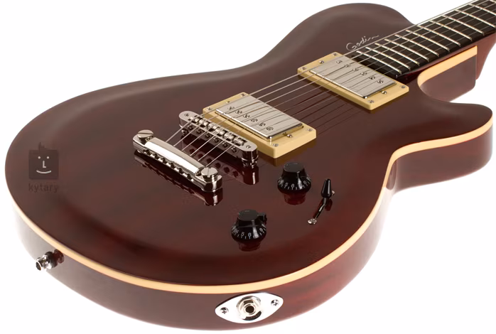 Godin Icon Type 2 Classic Burgundy HG - Elektromos gitár