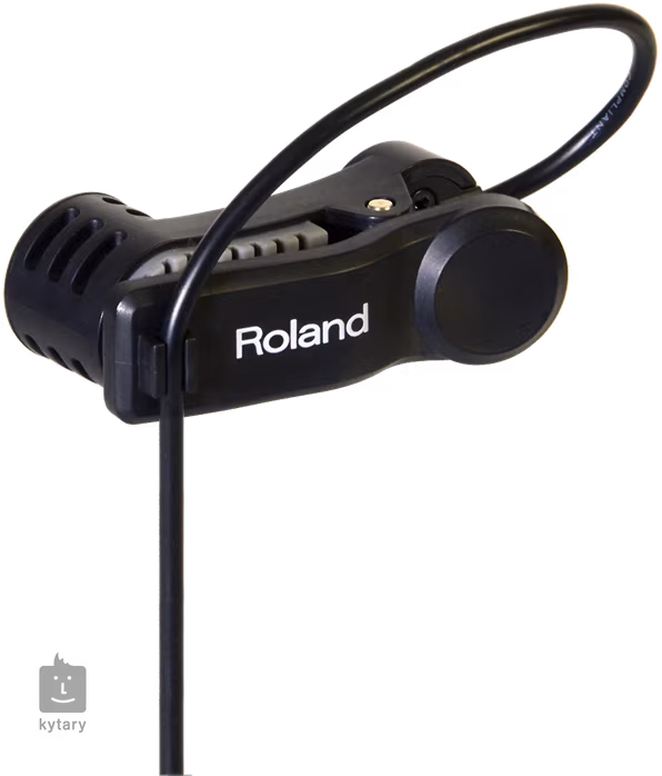 Roland EC-10M - Mikrofon processzor