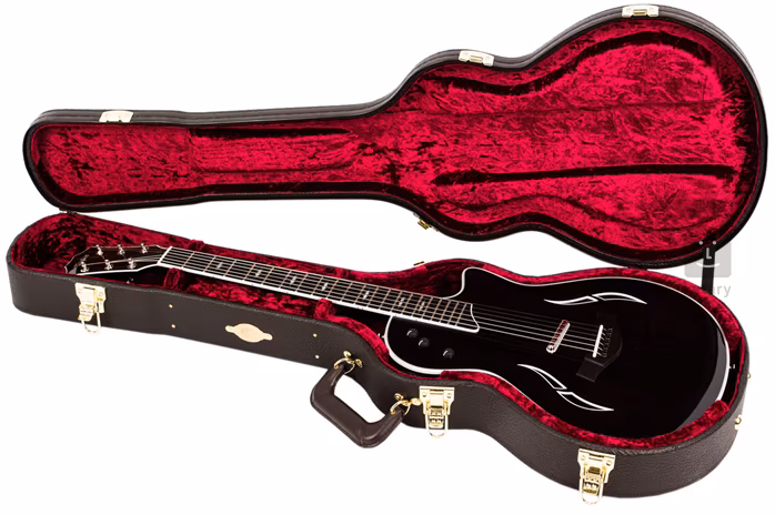 Taylor T5z-PRO GB - Elektroakusztikus hibrid gitár