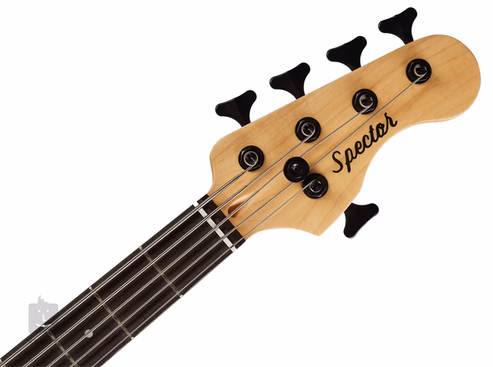 Spector CodaBass 5 Pro NATS G - Elektromos basszusgitár