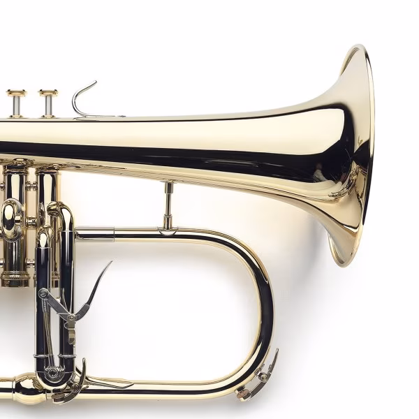 VanLaar B1 Glossy, Raw brass - Szárnykürt