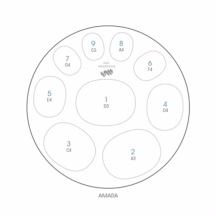 Zenko Spacedrum Nitro 9 Notes Amara - Spacedrum