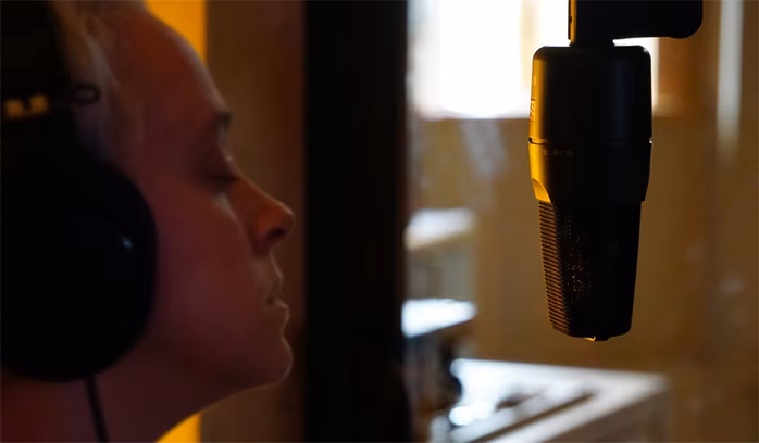 sE Electronics X1 S - Kondenzátoros mikrofonok