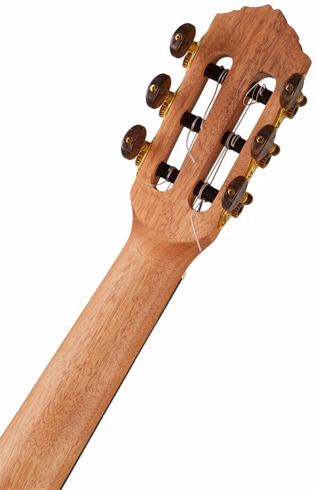 Ortega RGL5EB - Akusztikus gitár ukulelé