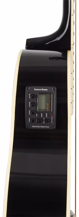 Washburn EA10B-A-U - Elektroakusztikus gitár