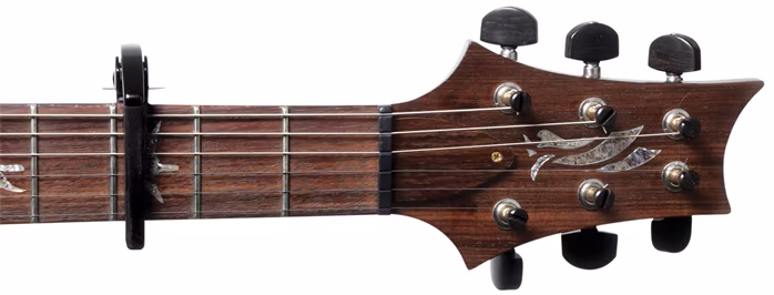 D'Addario PW-CP-09 - Kapodaszter