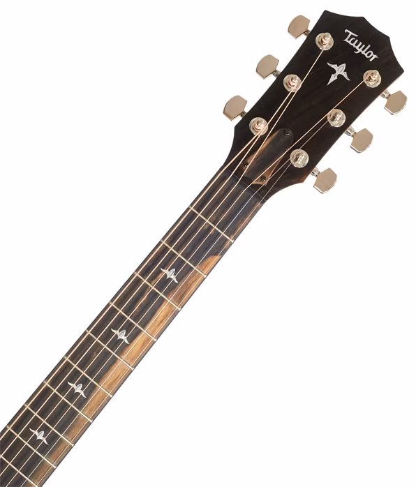 Taylor 414ce LTD - Elektroakusztikus gitár