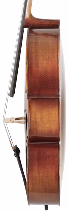 Bacio Instruments Professional Cello (AC300) 7/8 - Cselló