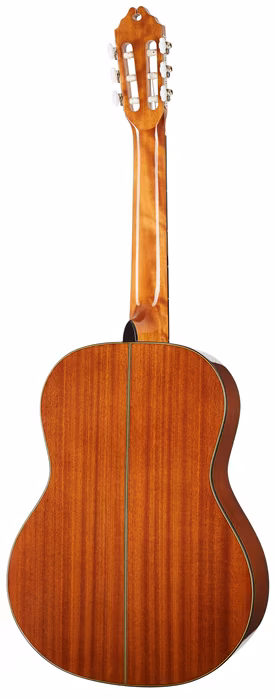 Washburn C40-A-U - Klasszikus gitár