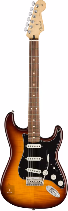 Fender Player Stratocaster Plus Top PF TBS - Elektromos gitár