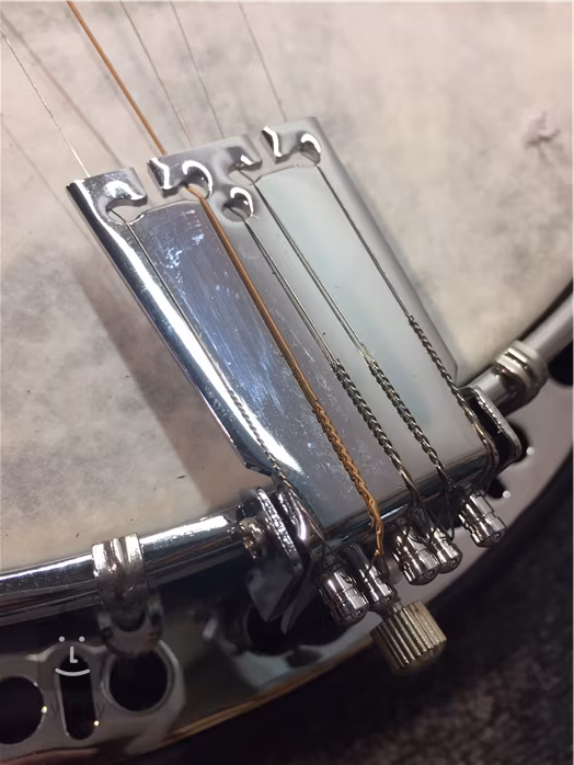 Pilgrim VPB018 (használt) - Bendzsó