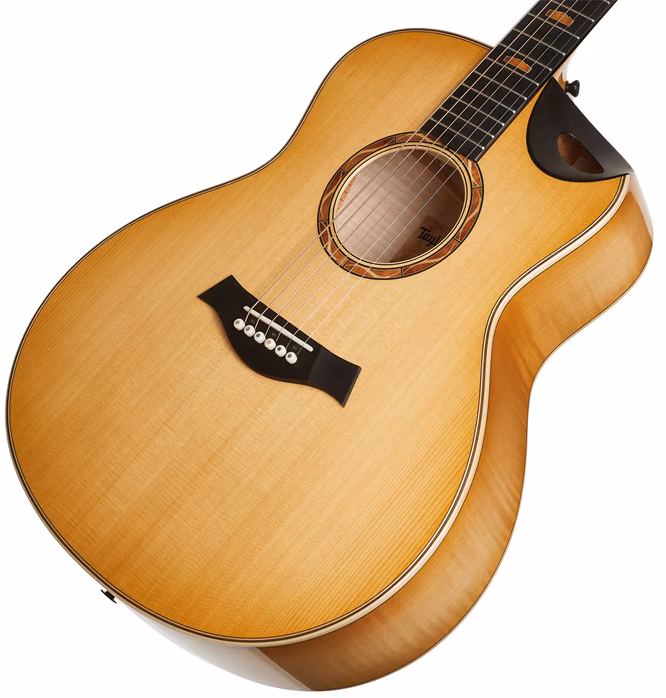 Taylor Custom GS C16ce B3017 - Elektroakusztikus gitár