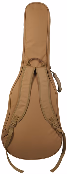 Taylor Academy 10e - Elektroakusztikus gitár