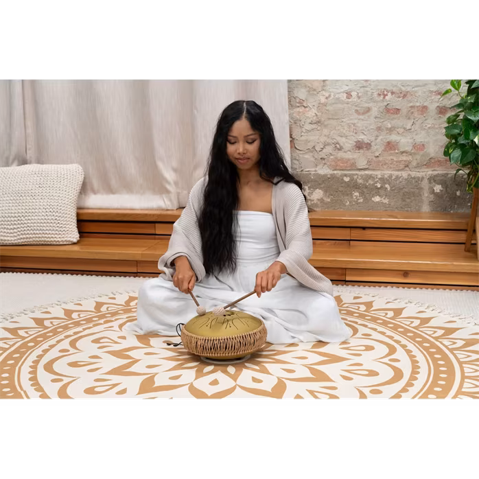 Meinl Sonic Energy 10" Octave Steel Tongue Drum C Major - Tongue drum