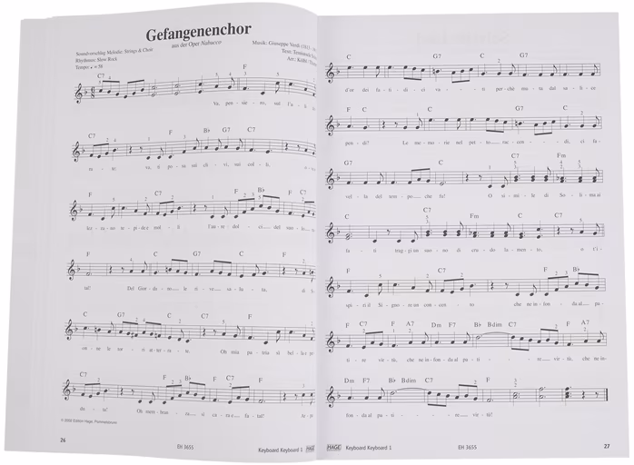 MS Keyboard Keyboard 1 - Keyboard kotta