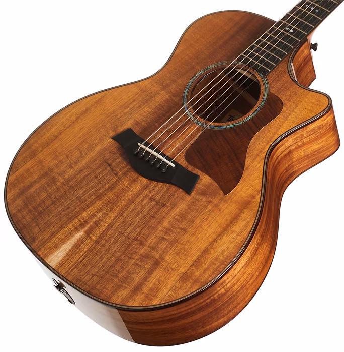 Taylor 724ce - Elektroakusztikus gitár