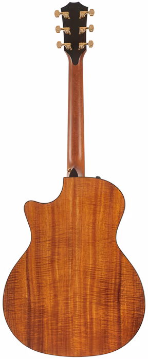 Taylor 924ce-K 50th Anniversary + Circa 74 amp Limited Edition - Akusztikus gitár szett