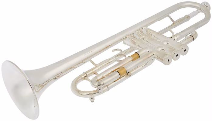 Arnolds & Sons ATR-5200GS Terra - Trombita