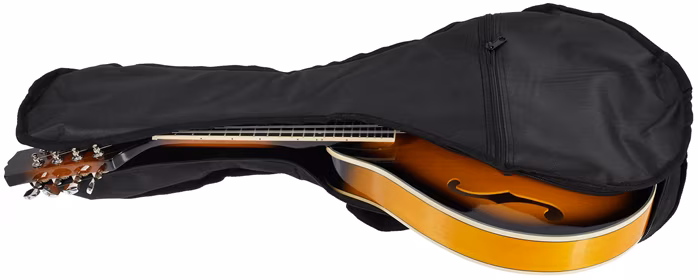 Soundsation BMA-50 VS - Akusztikus mandolin