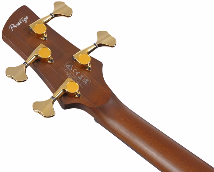 Ibanez SR5500 Mocha - Elektromos basszusgitár