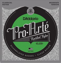 D'Addario EJ29