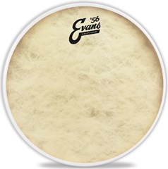 Evans 12" Calftone - Tom Drum Head