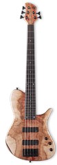 AV Basses AVS 5 EFB Box Elder