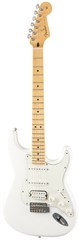 Fender Player Stratocaster HSS MN PWT