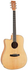 Tanglewood TW10 E LH (opened)