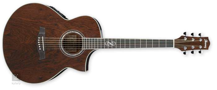 Ibanez Ew 20wne Nt Electro Acoustic Guitar Kytaryie 1496