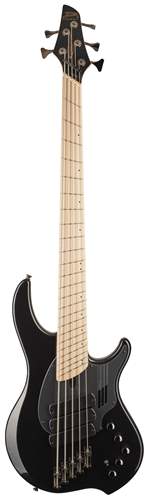 5 string dingwall bass