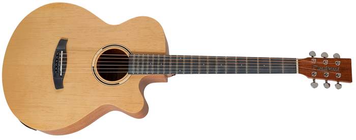 takamine tan40c