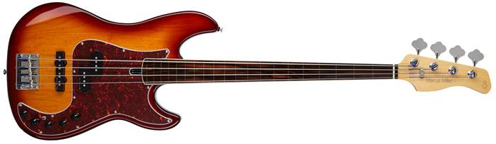 esp ltd 214 fretless bass