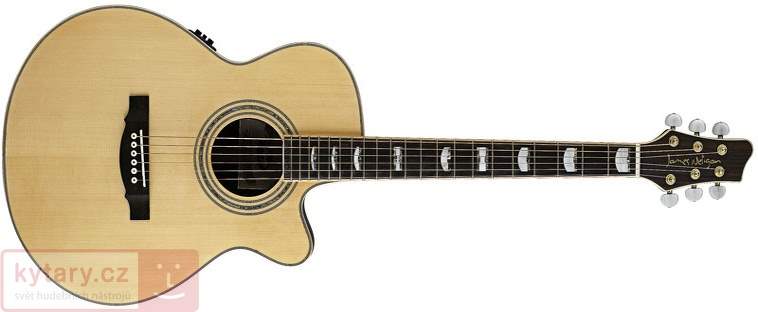 James neligan store acoustic guitar