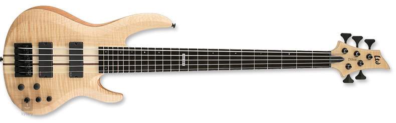 esp ltd b1005