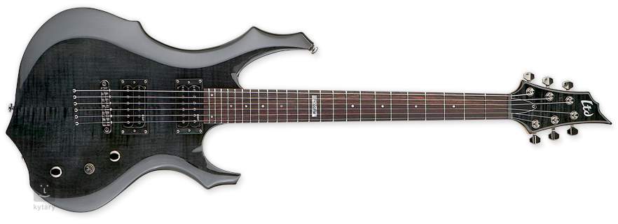 Esp ltd shop 100 fm