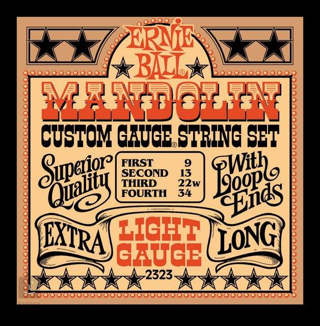 ernie ball mandolin strings